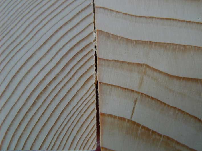 Enok Grönlandspaddel träskola. Årsringsbredd gran